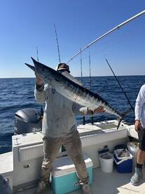 New Smyrna Beach Report Photo 1