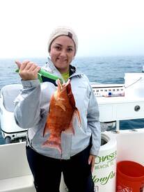 HOGFISH SMACKDOWN