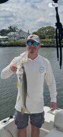 Snook Action Picks Up