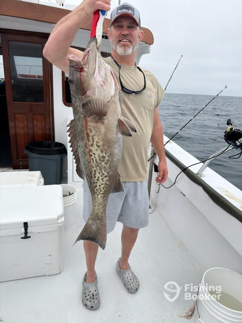 Panama City Beach Report Photo 0