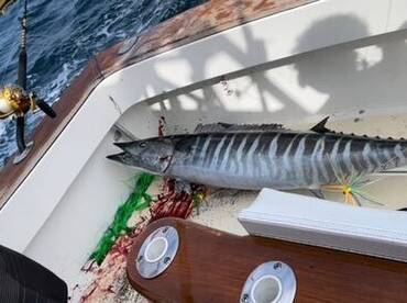 Hampton Bays Report Photo 2