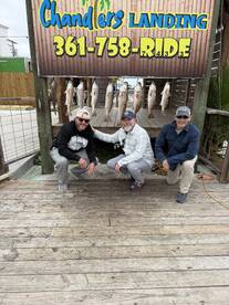 Texas Report Photo 2