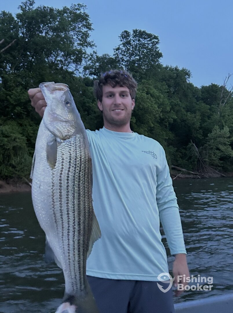 Weldon Verslag Foto 0