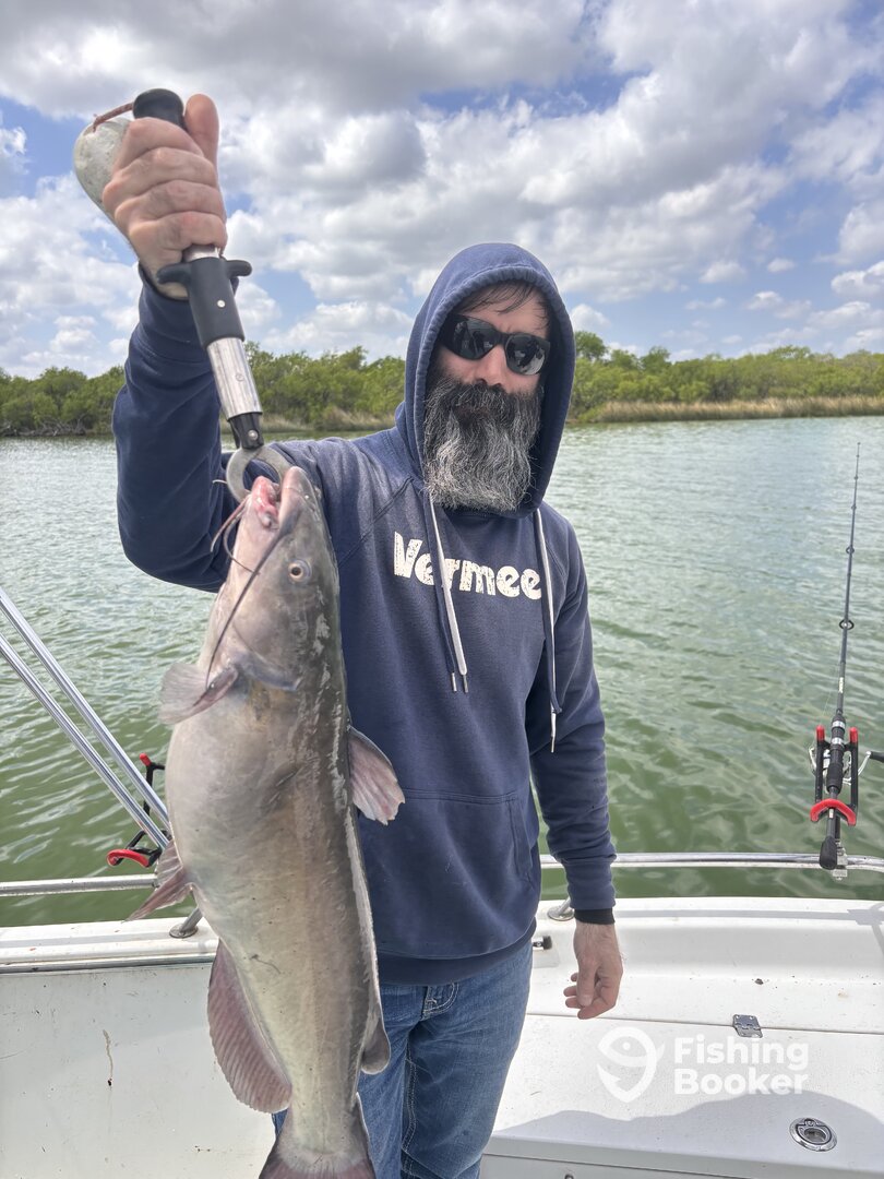 San Antonio Report Photo 0