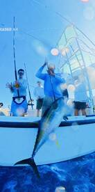 Sandys Report Photo 1