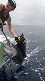 Quepos Report Photo 1