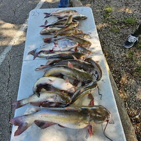 Lavon Channel Catfisho