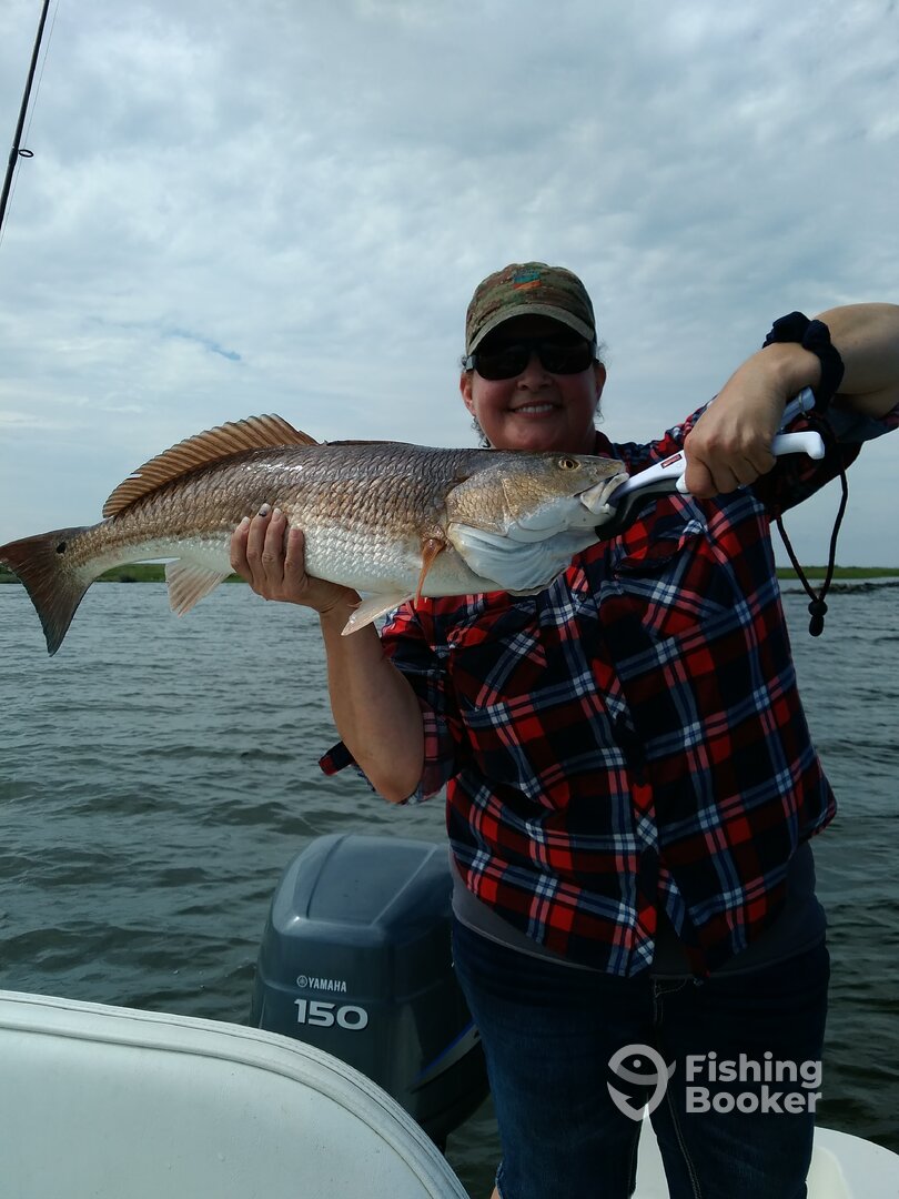 St. Bernard Report Photo 0