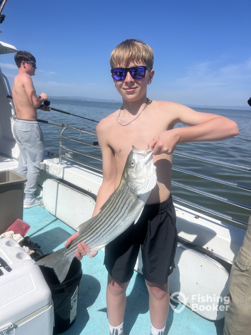 San Francisco Report Photo 0