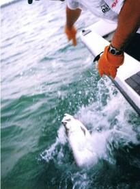 Miami Report Photo 2