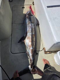 Bucket list checked!