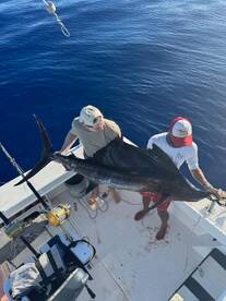 Successful first try