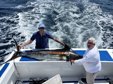 Marlin Season