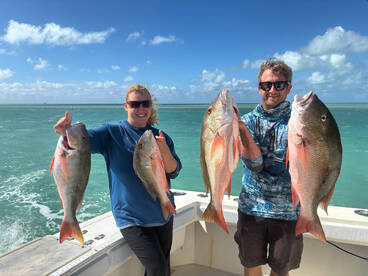 Good spring snapper bite on the reef.