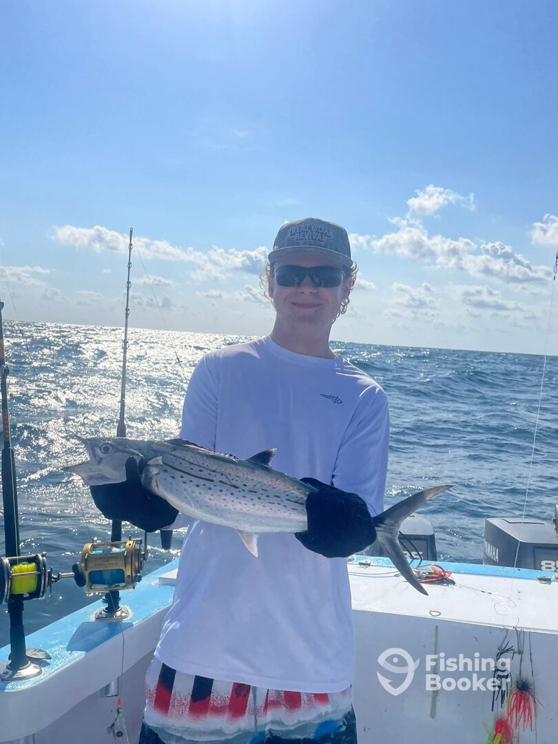 Tulum Report Photo 0