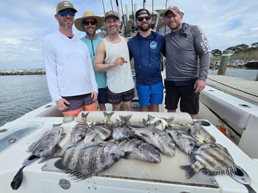 Gulf Shores Report Photo 1