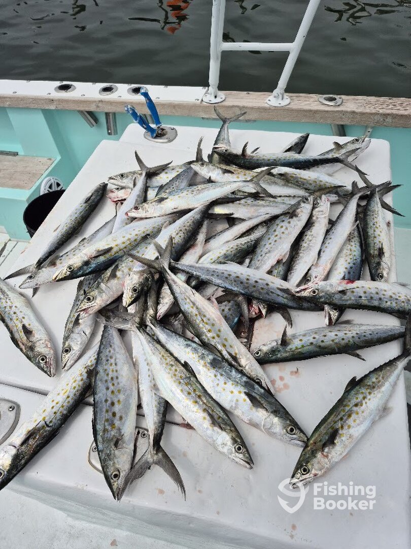 Destin Report Photo 0