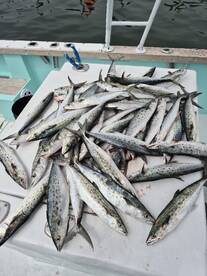 Nice morning trip with spanish mac