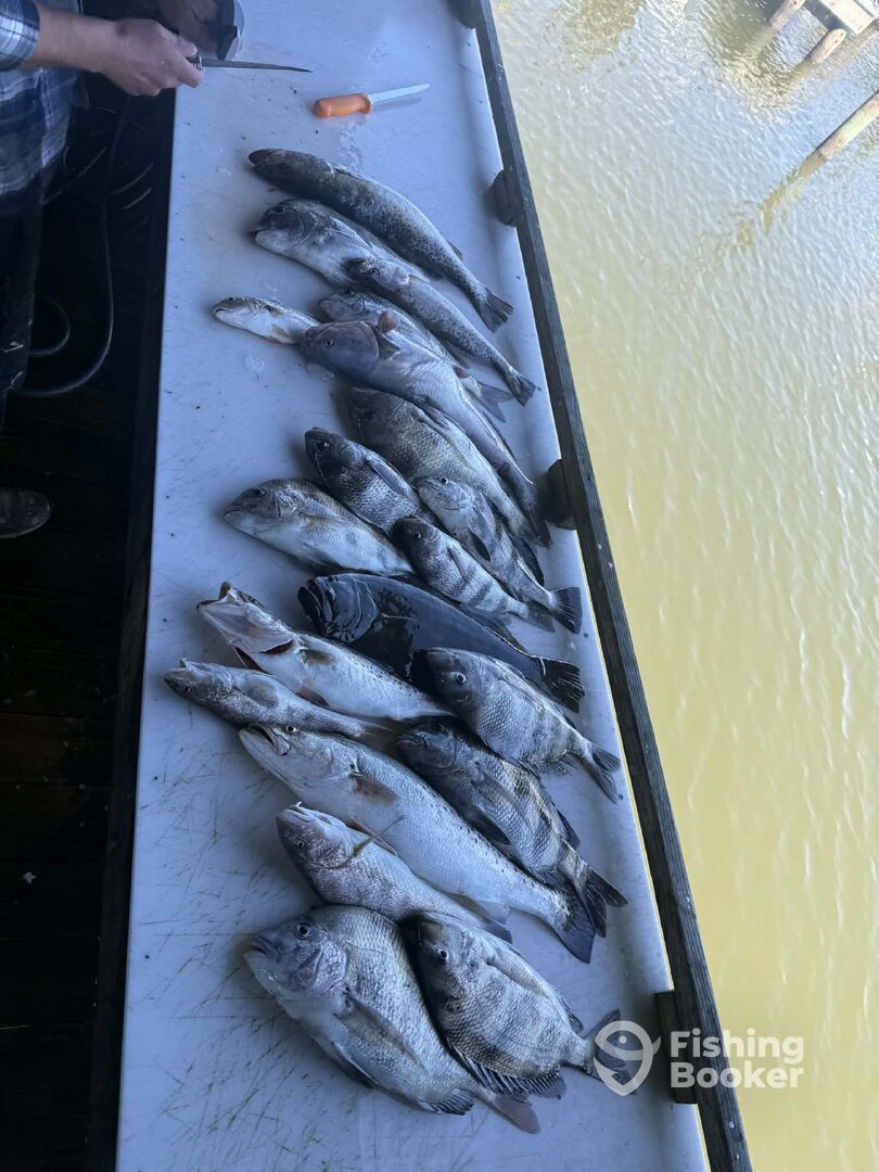 Pass Christian Verslag Foto 0