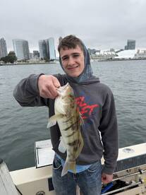 Good Fishing Despite Wind