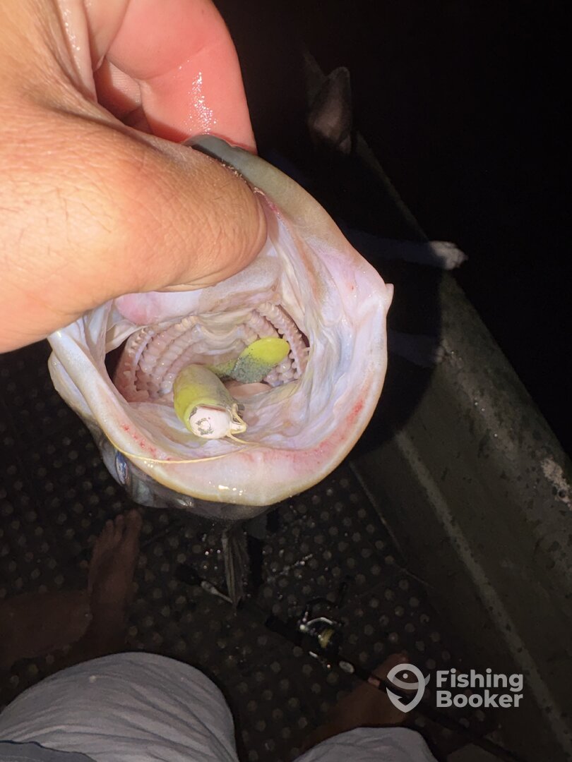 Foto Report Weldon 0