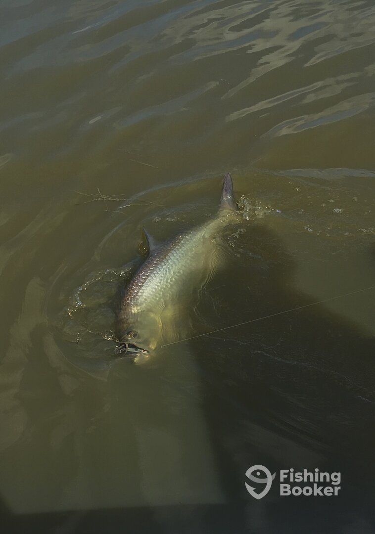 Miami Report Photo 0