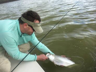 Miami Report Photo 1