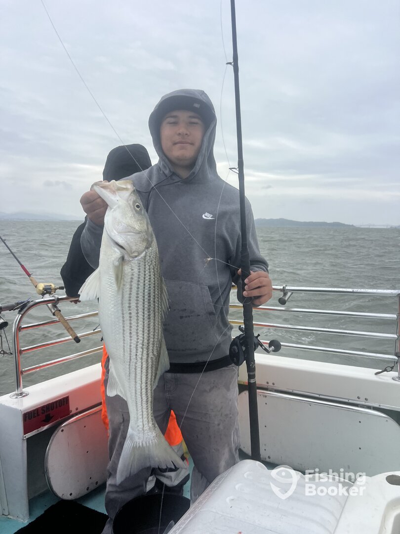 San Francisco Verslag Foto 0