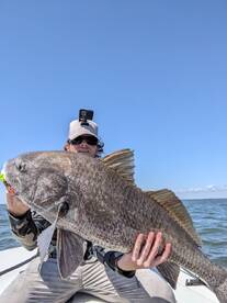 Redfish and big black drum on a windy da