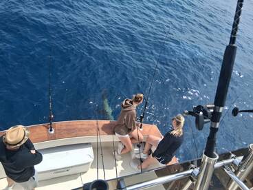 Sand Bass, Makeral, White Fish, Razz