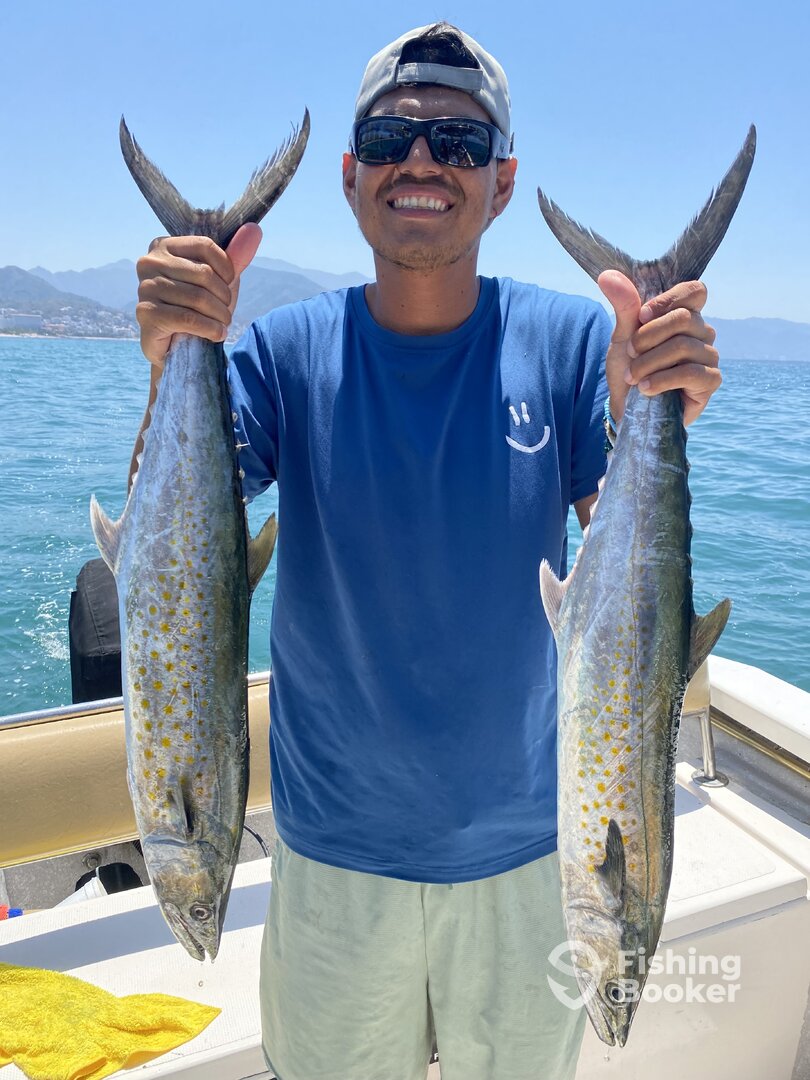 Puerto Vallarta Report Photo 0