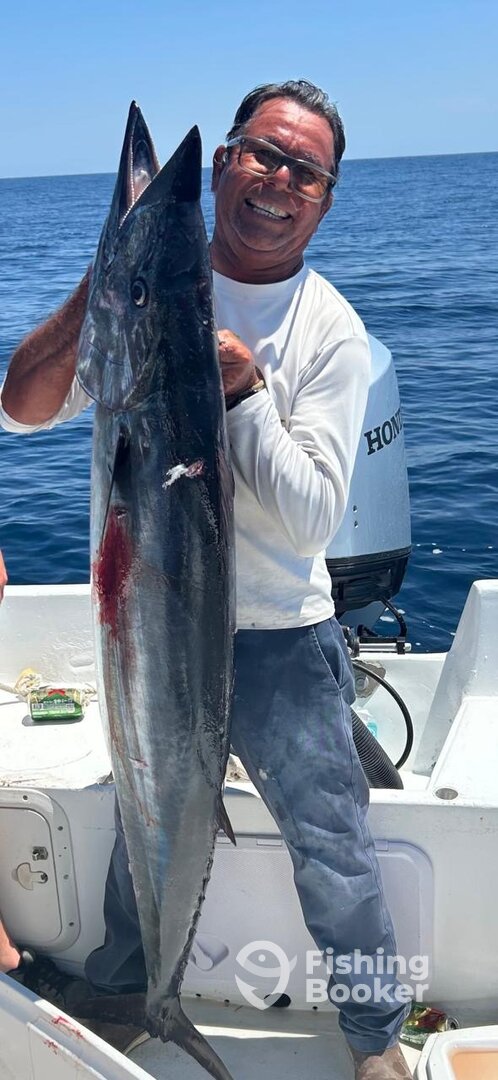 San Jose del Cabo Report Photo 0