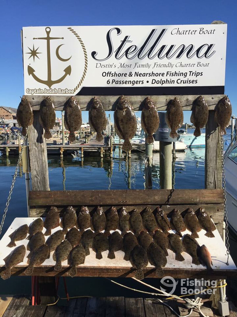 Destin Report Photo 0