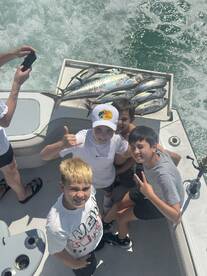 end of March and beginning of Spring Gre