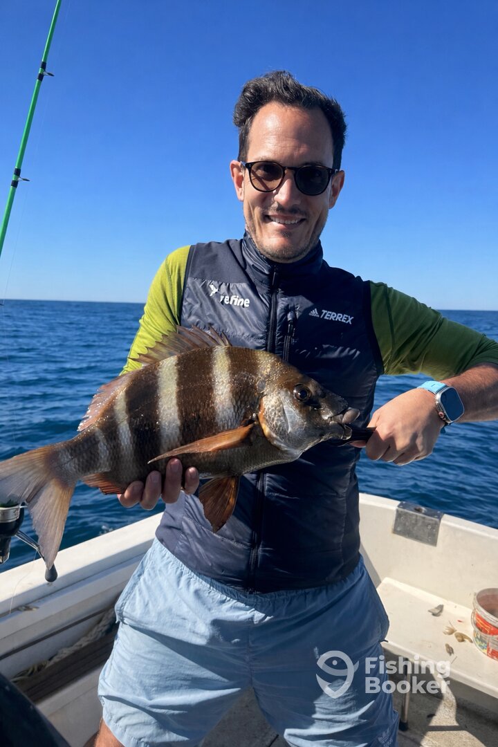 Tavira Report Photo 0