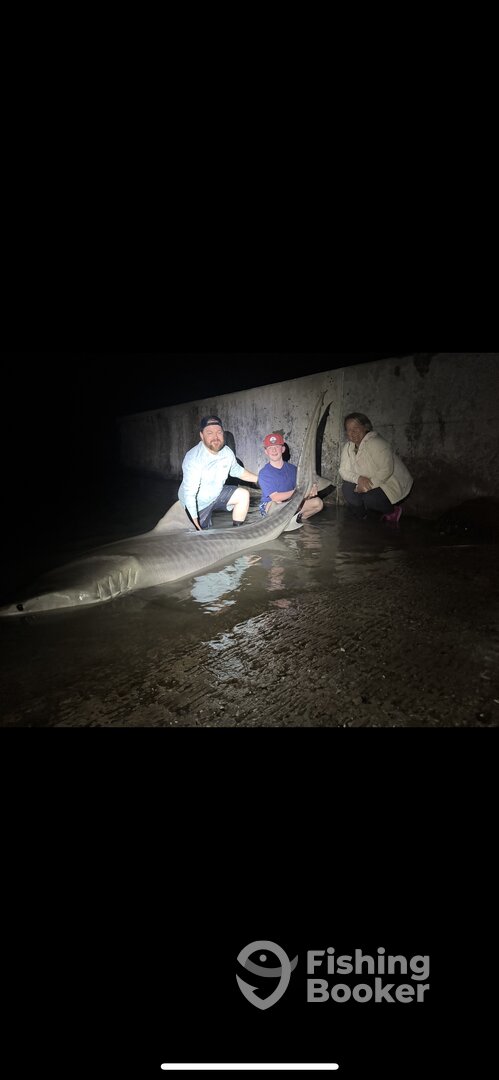 Foto Report Marathon 0