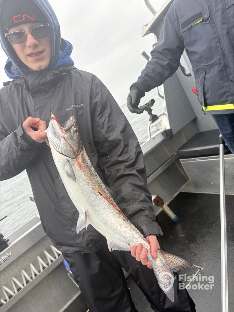 King Salmon on a Full Day Salmon Trip 