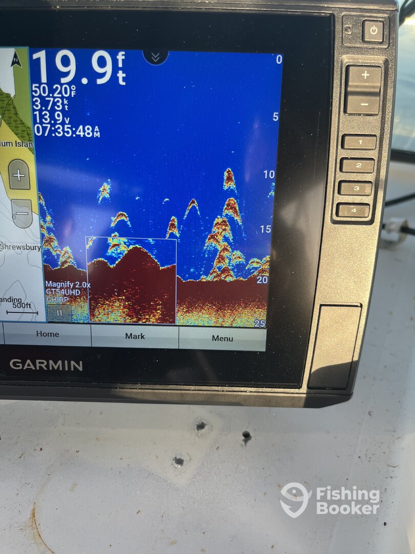 Foto Report Highlands 0