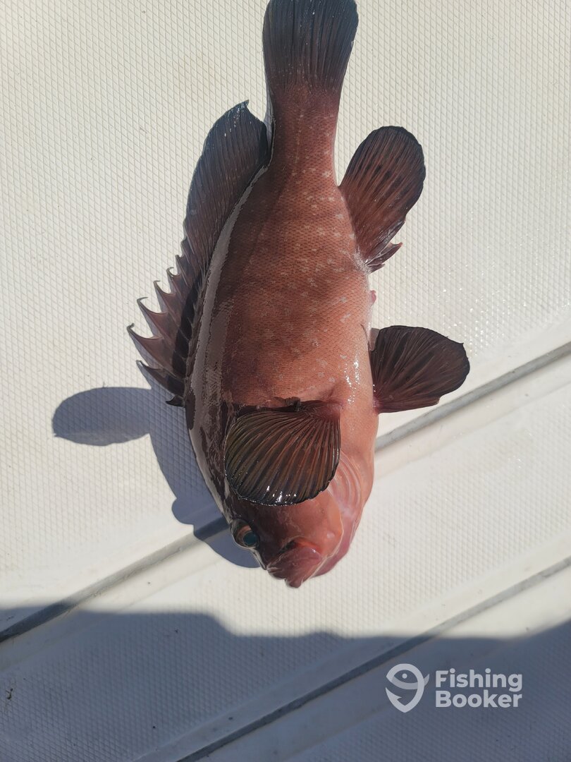 Foto Report Mexico 0