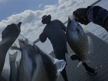 Atlanta Report Photo 1