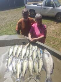 North Georgia Verslag Foto 2