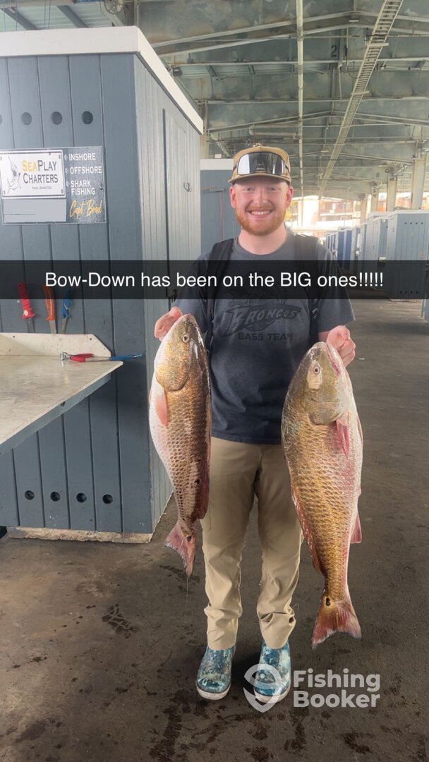 Galveston Report Photo 0