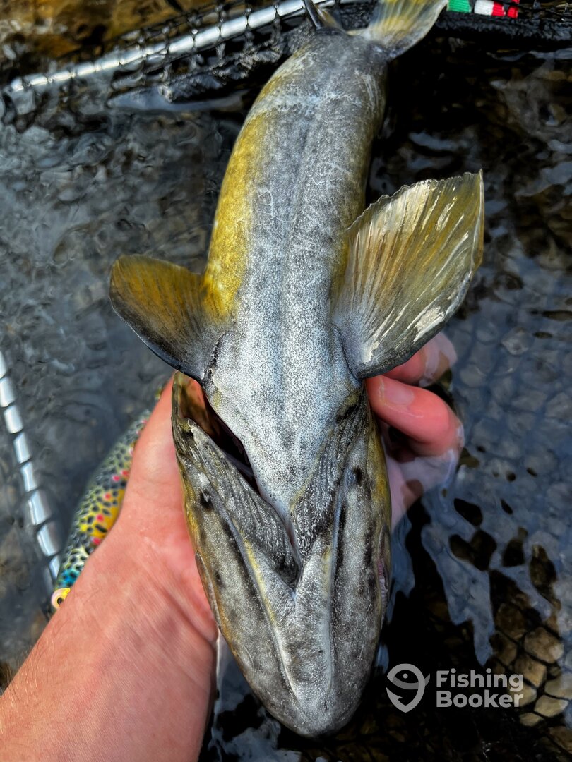 Provincia autonoma di Trento Report Photo 0