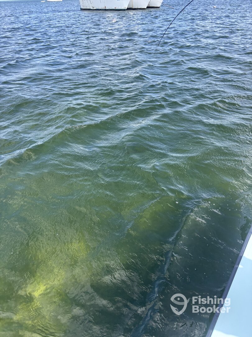 Key Largo Report Photo 0