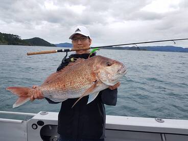 Paihia Report Photo 1