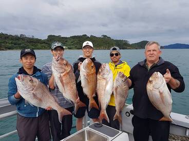 Paihia Report Photo 2