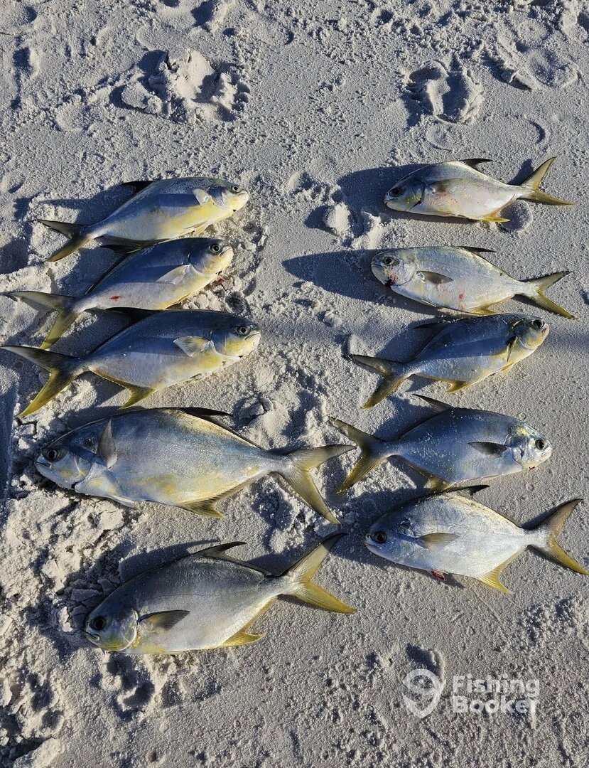 Santa Rosa Beach Verslag Foto 0