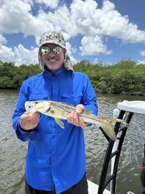 Nice nook caught by the Doctor 