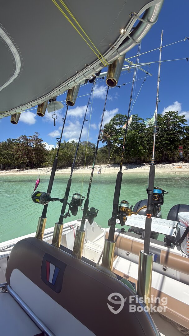 Mayagüez Report Photo 0