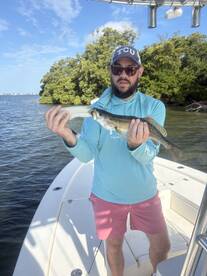 Holmes Beach Report Photo 1